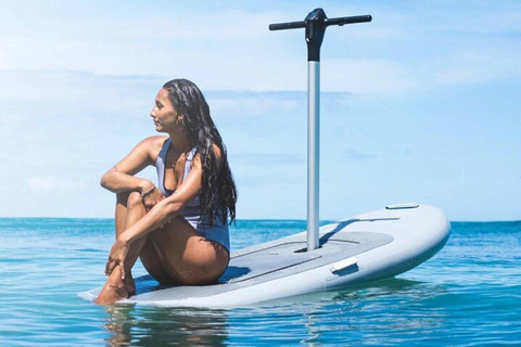 Ft. Lauderdale: Lezione di surf su Flitescooter