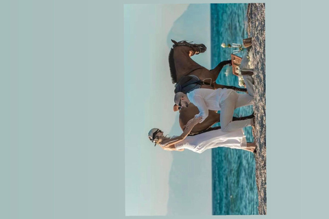 Corfu: Horseback Swimming Experience