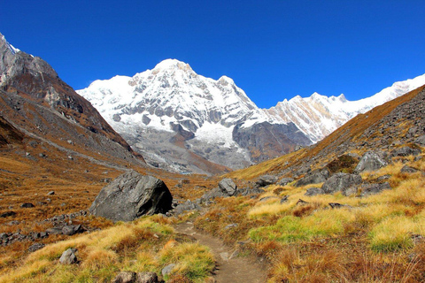 Pokhara: 9-dniowy trekking z przewodnikiem do bazy Annapurna przez PoonHill