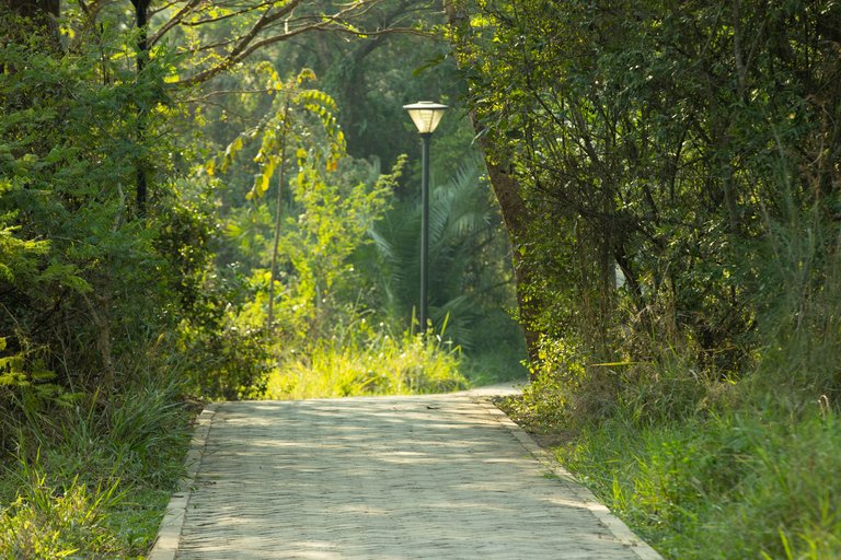 Observation des oiseaux dans l&#039;éco-parc de Kigali