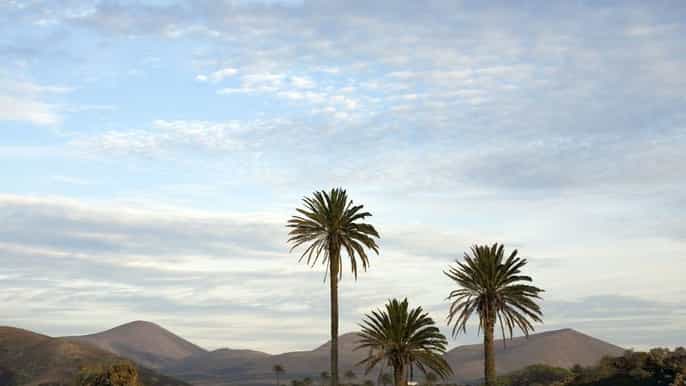 lanzarote 7stündige privattour