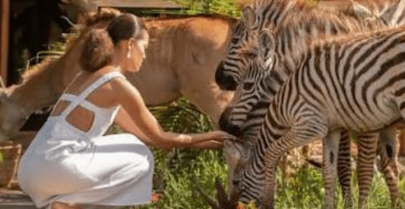 Explore Zakir Wildlife Park: Giraffes, Zebras & More