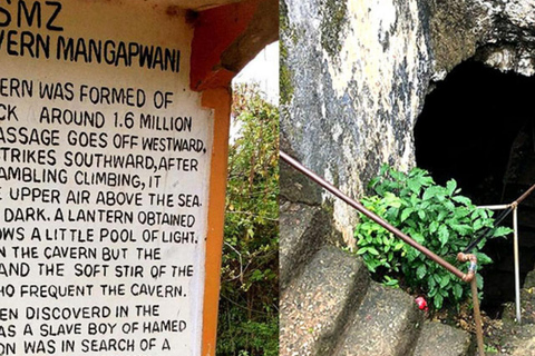 Zanzibar : excursion de plongée avec tuba dans le lagon bleu