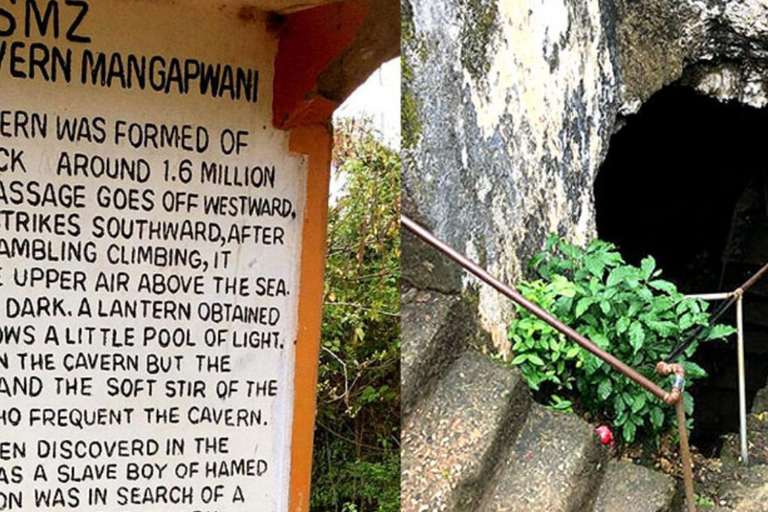 Zanzibar : excursion de plongée avec tuba dans le lagon bleu