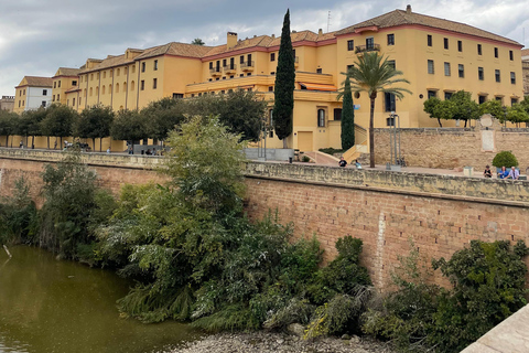 Córdoba: Lo más destacado de la ciudad Tour a pie privado