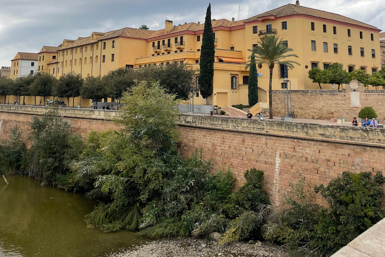 Cordoue : Visite à pied privée des principaux sites de la ville