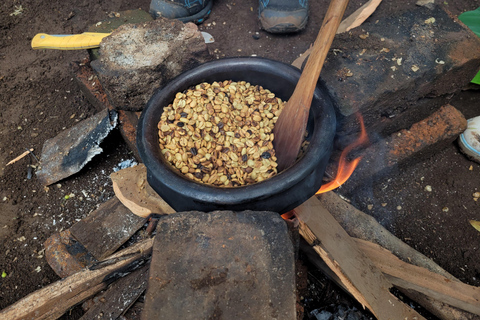 Moshi: Materuni Waterfall, Coffee Tour, Kikuletwa Hot Spring