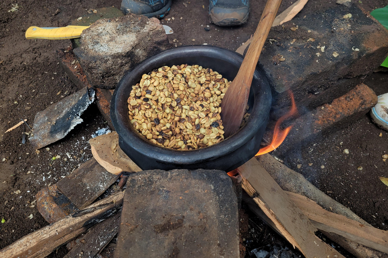 Moshi: Materuni Waterfall, Coffee Tour, Kikuletwa Hot Spring