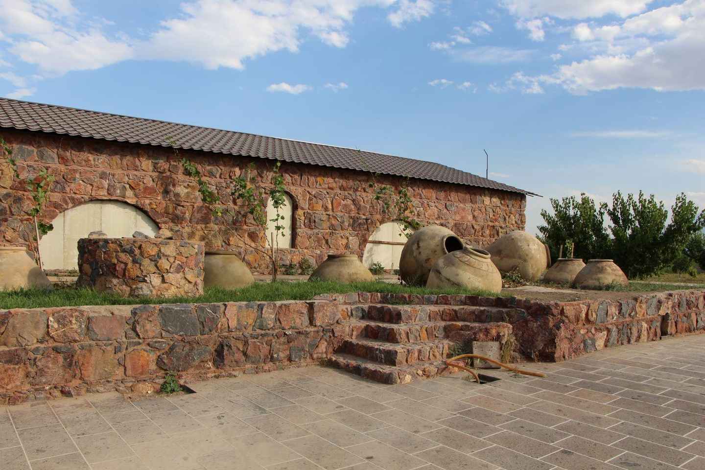 Tour del vino: 4 cantine in un giorno