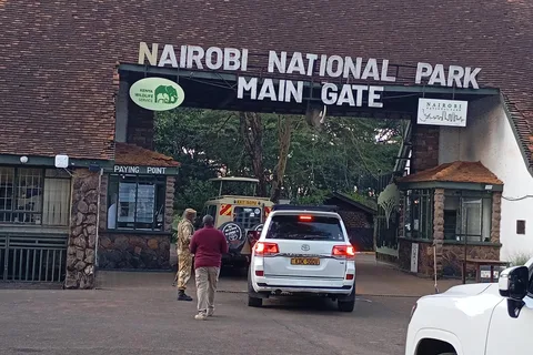 Nairobi: Private Game Drive in Nairobi National Park