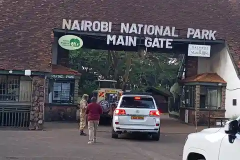 Nairobi Safari privado en el Parque Nacional de Nairobi