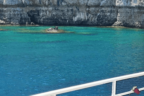 Rodi: Crociera a nuoto da baia a baia con buffet greco e vinoRodi: Crociera di mezza giornata da baia a baia con buffet e snorkeling