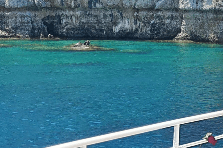 Rodi: Crociera a nuoto da baia a baia con buffet greco e vinoRodi: Crociera di mezza giornata da baia a baia con buffet e snorkeling