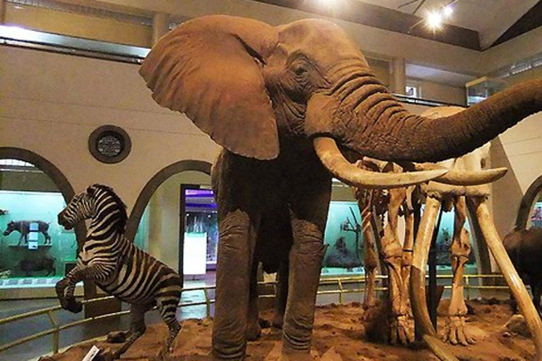 Nairobi National Museum, Giraffe Centre & Bomas of Kenya