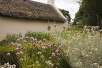 Château de Culzean, Robert Burns et la côte de l'Ayrshire - Hizvo