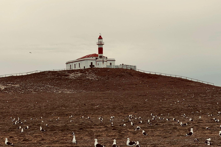 Magdalena Island Natural Monument Tour