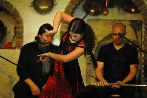 Granada: Tour guiado de la Alhambra y Espectáculo Flamenco