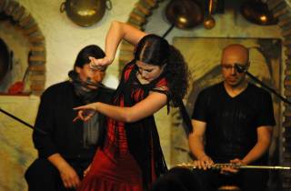 Granada: Alhambra-Führung und Flamenco-Show