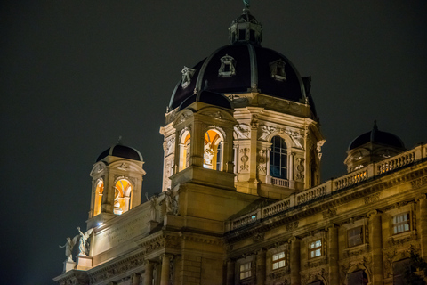 Vienna: Christmas Evening Tour with Schönbrunn Palace Lights