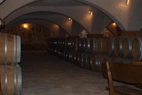 Private Full-Day Wine Tour van Dubrovnik naar Peljesac