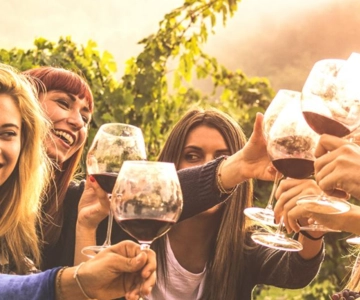 Private Day Mendoza Wineries (Opt Flight from Buenos Aires)
