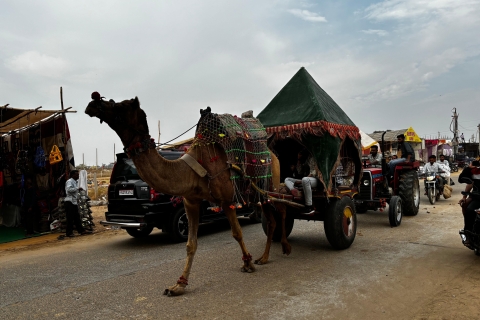 Goldenes Dreieck Tour Pushkar & Jodhpur mit dem Auto 7 Nächte 8 TageAc Auto + Tourguide & 3 Hotel