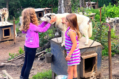 Fairbanks: Siberian Husky Kennel Tour