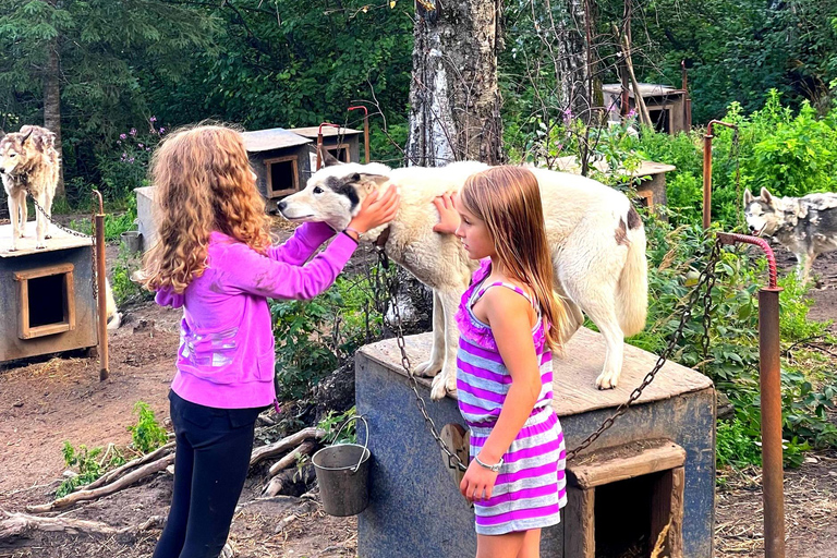 Fairbanks: Siberian Husky Kennel Tour