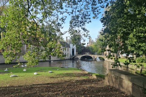 Tour di Bruges attraverso gli occhi di un locale, piccolo gruppo