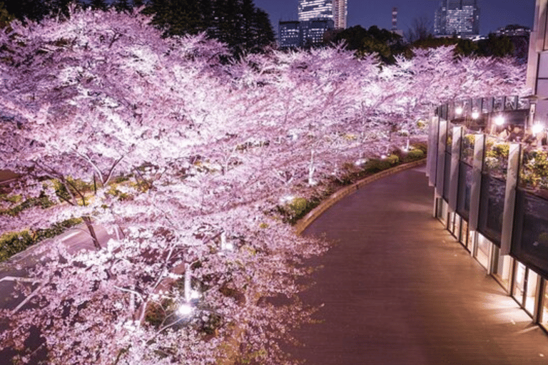 Kyoto: Highlight-Tour mit englischsprachigem Fahrer