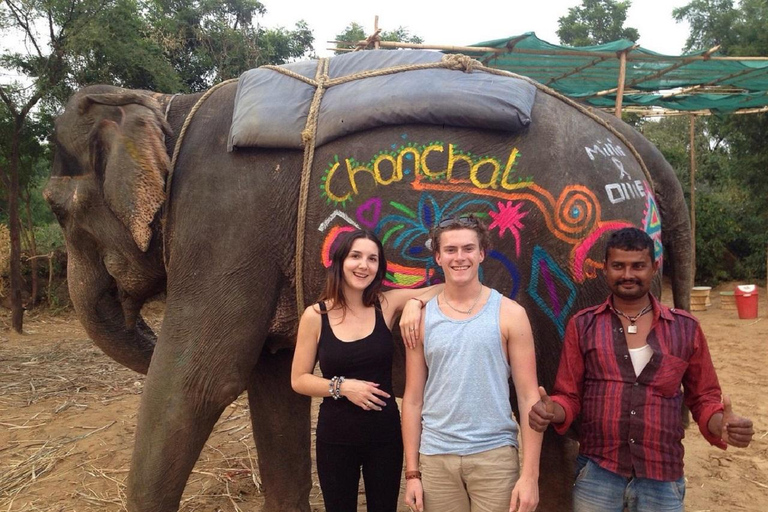 Jaipur: Hathigao Elephant Village Ride, Feeding, & Photos Riding, Feeding, Climbing And Photography with Elephant