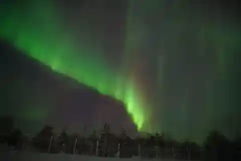 Rovaniemi: Privat tur i Aurora - ubegrænset antal kilometer