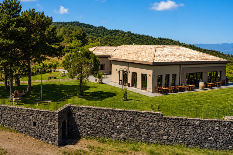 Etna + Wine Tasting Experience in a Winery and Lunch included Etna + Wine Tasting Experience in a Winery with Lunch included