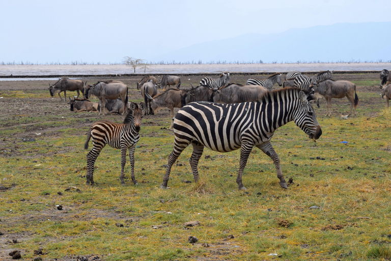 Viaggio di due giorni al Lago Manyara con canoa e passerella tra le cime degli alberiCampeggio a Karatu