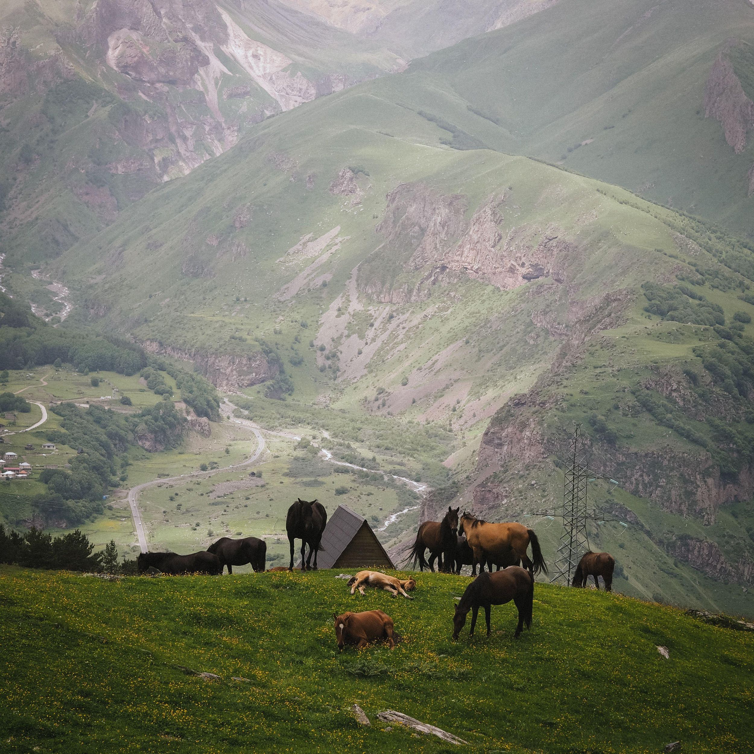 Tiflis: Geländewagen-Erlebnis im Kasbek-Hochland