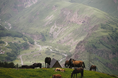 Tbilisi: Kazbegi Highlands 4X4 Experience Tbilisi: Kazbegi Highlands 4X4 Experience