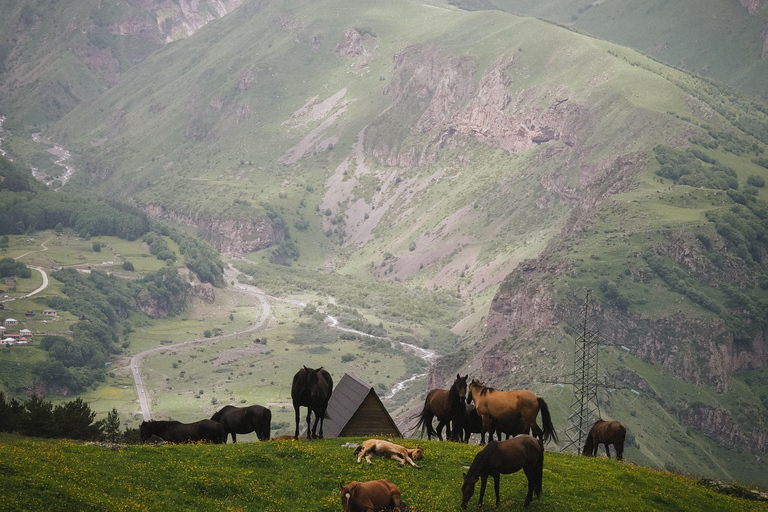 Tbilisi: Kazbegi Highlands 4X4 Experience Tbilisi: Kazbegi Highlands 4X4 Experience