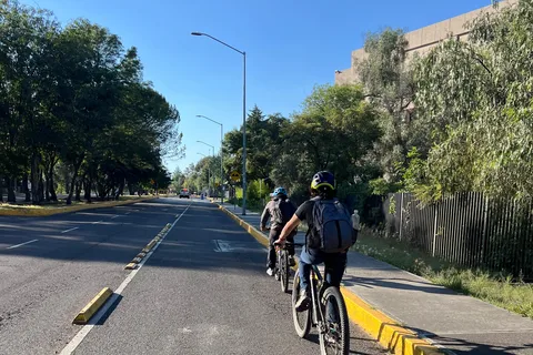 Mexico City: Bike, Cannabis, Nature, Food, Culture and History.