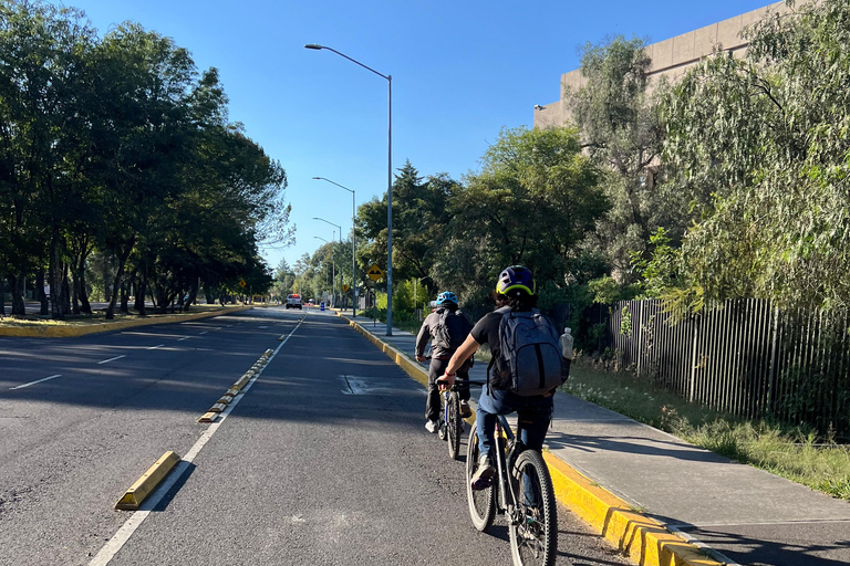 Mexico City: Bike, Cannabis, Nature, Food, Culture and History.