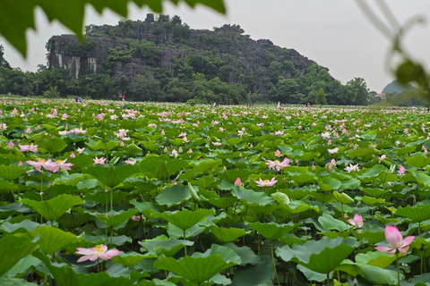 From Hanoi: Ninh Binh, Hoa Lu, Tam Coc and Mua cave Private tour: Hoa Lu, Tam Coc and Mua Cave