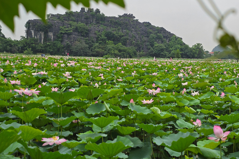 From Hanoi: Ninh Binh, Hoa Lu, Tam Coc and Mua cave Private tour: Hoa Lu, Tam Coc and Mua Cave