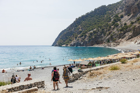 Da Heraklion, Agia Pelagia, Malia: Escursione alle Gole di SamariaPrelievo da Agia Pelagia, Lygaria e Fodele