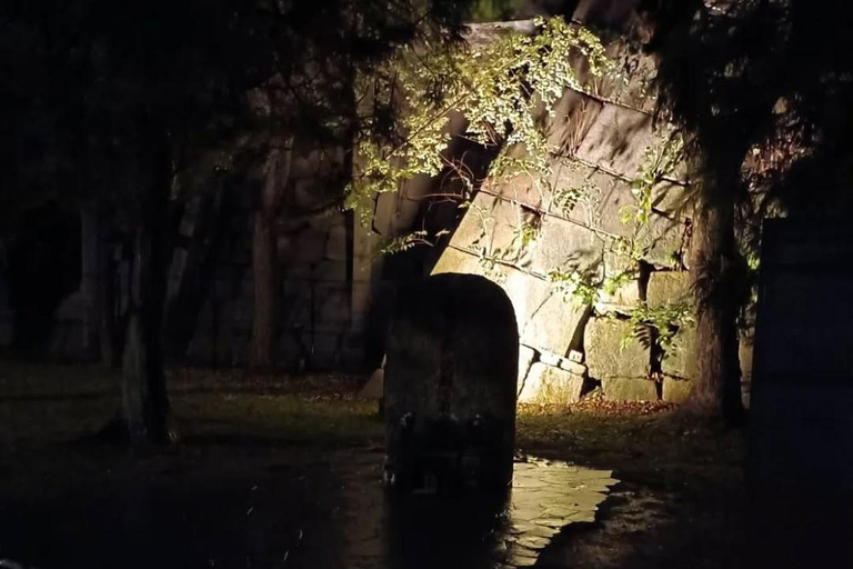 Osaka: Osaka Castle Haunted Night Walk
