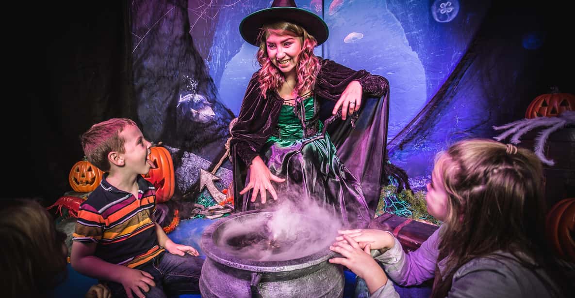 Afbeelding 2 van Oberhausen: SEA LIFE Oberhausen toegangsbewijs