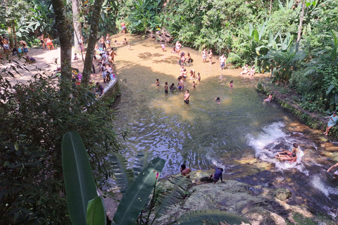 Rio de Janeiro : Jardin botanique et forêt de Tijuca