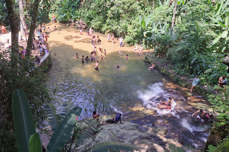 Rio de Janeiro: Botanische Tuin en Tijuca Bos