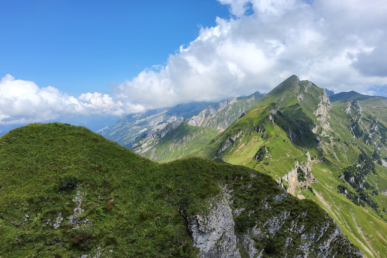 Tagestour ab Zürich: Bergwanderung auf den Rophaien mit ortskundigem GuideTagestour ab Zürich: Bergwanderung in Rophaien mit ortskundigem Guide