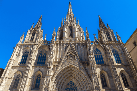 Barcelona Cathedral: Ticket, Guided Tour and VR ExperienceBarcelona Cathedral: Guided Tour In English