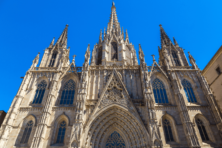 Barcelona Cathedral: Ticket, Guided Tour and VR Experience Barcelona Cathedral: Guided Tour In English