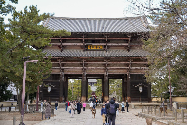 Excursión Privada de un Día a lo Más Destacado de Nara y Osaka